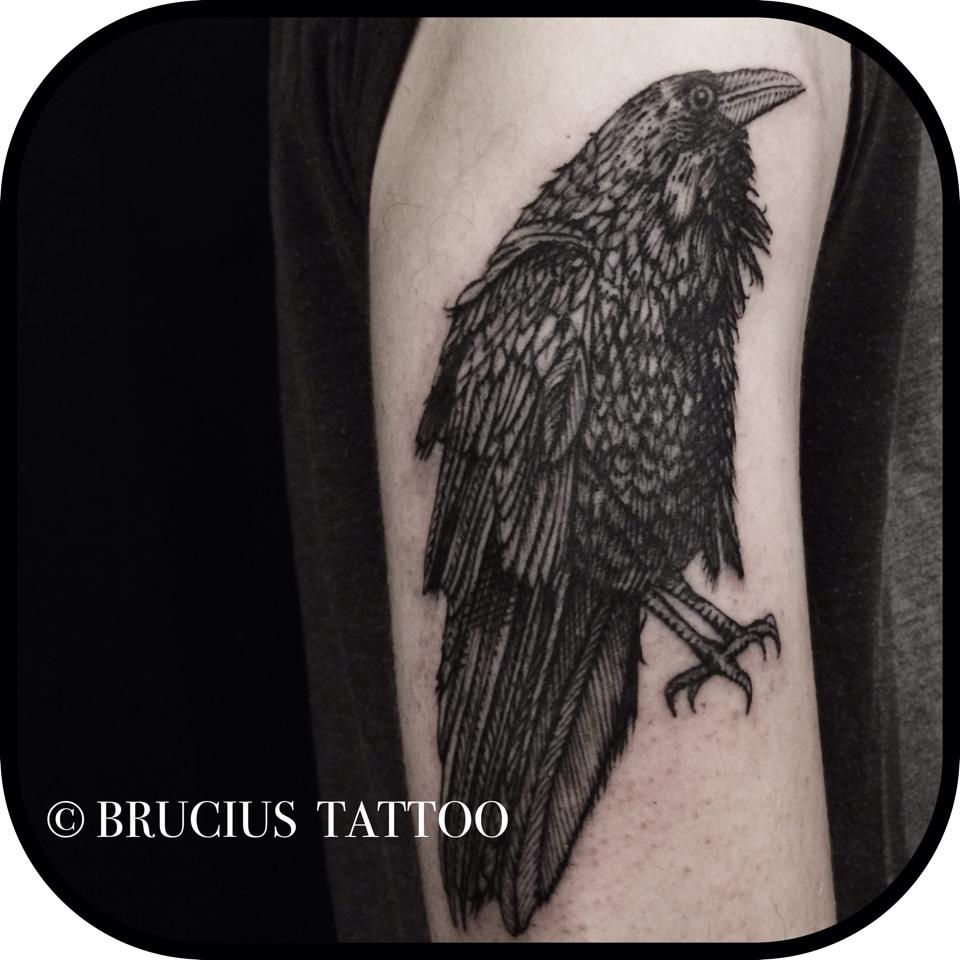 Black Ink Crow Tattoo On Right Half Sleeve