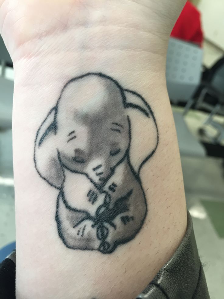 Black Ink Dumbo Tattoo On Wrist