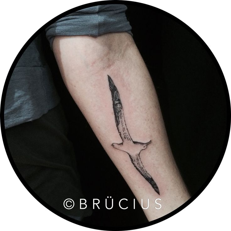 Black Ink Flying Albatross Tattoo On Left Forearm