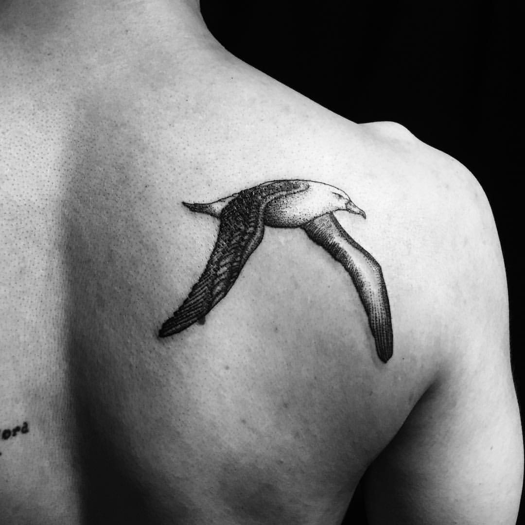 Black Ink Flying Albatross Tattoo On Right Back Shoulder