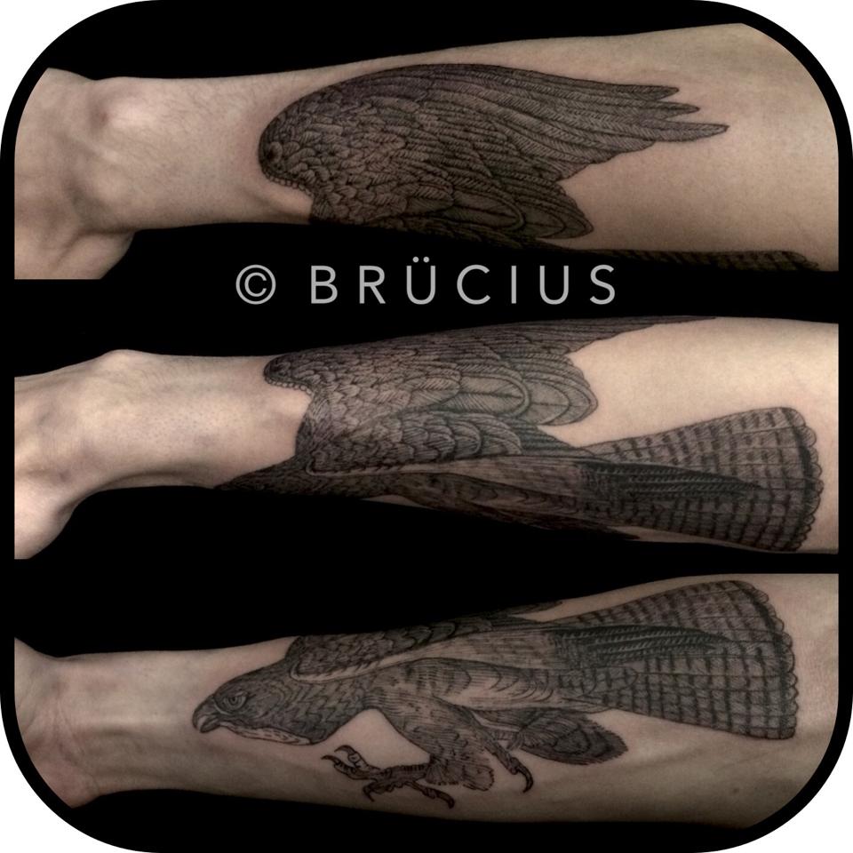 Black Ink Flying Bird Tattoo On Leg By Brucius