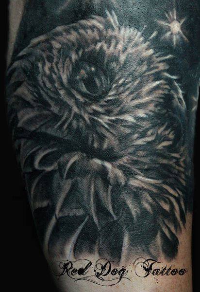 Black Ink Owl Tattoo Design For Half Sleeve