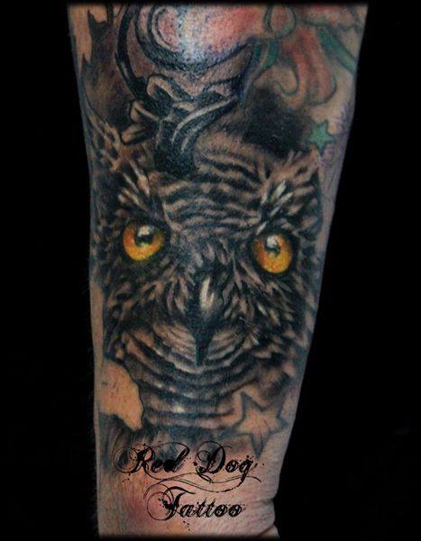 Black Ink Owl Tattoo On Sleeve