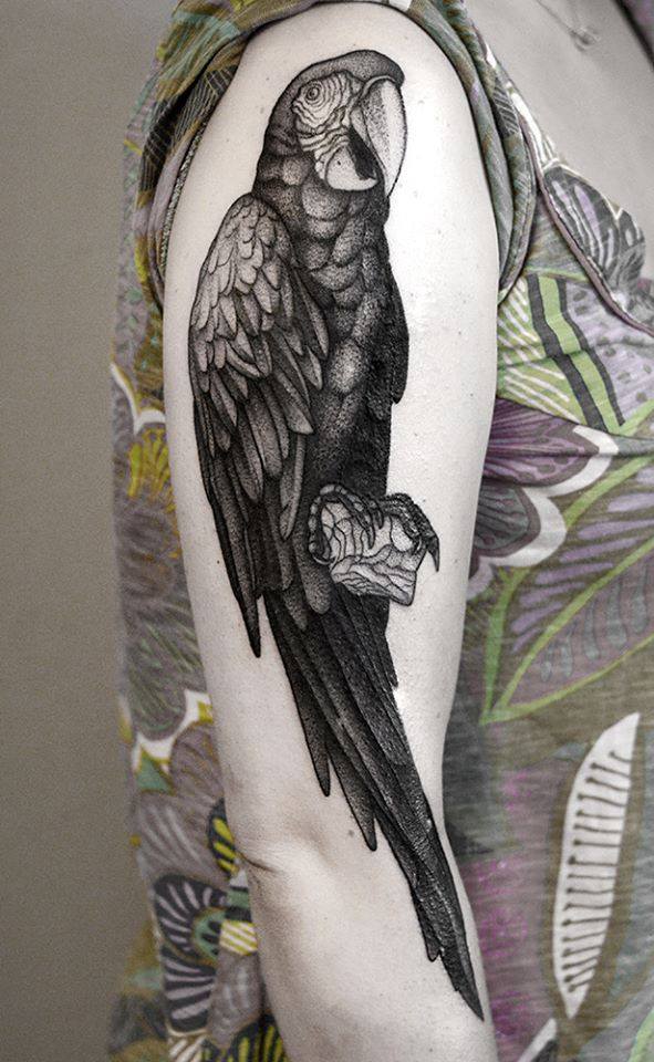 Black Ink Parrot Tattoo On Women Right Half Sleeve By Bartosz Wojda