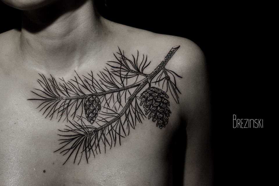 Black Ink Pine Branch Tattoo On Left Front Shoulder