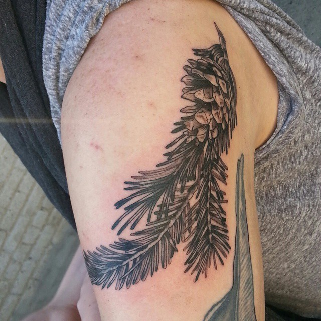 Black Ink Pine Branch Tattoo On Left Shoulder