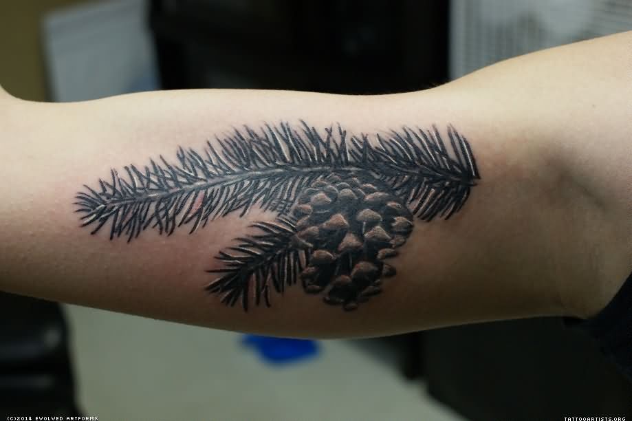 Black Ink Pine Branch Tattoo On Right Bicep