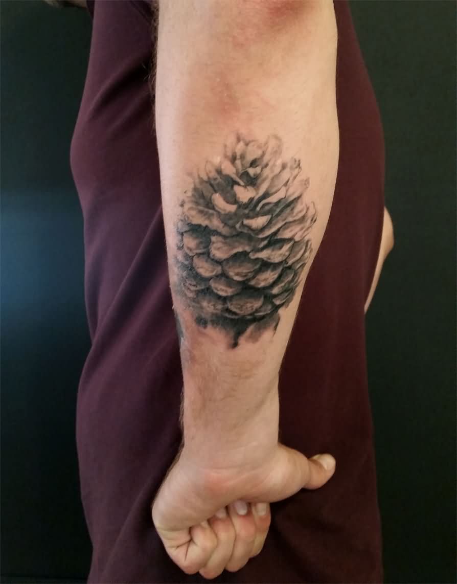 Black Ink Pine Cone Tattoo On Left Forearm