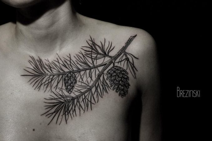 Black Ink Pine Cone Tattoo On Left Front Shoulder