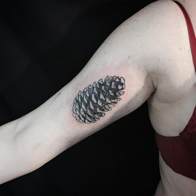 Black Ink Pine Cone Tattoo On Right Bicep