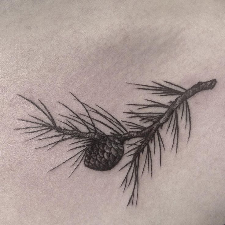 Black Ink Pine Cone Branch Tattoo Design