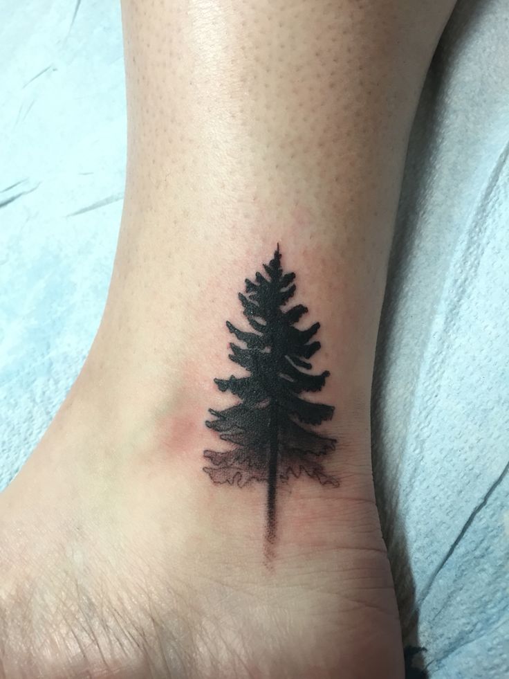 Black Ink Pine Tree Tattoo On Ankle