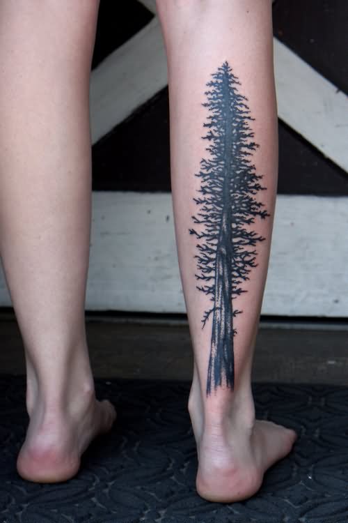 Black Ink Pine Tree Tattoo On Right Leg Calf