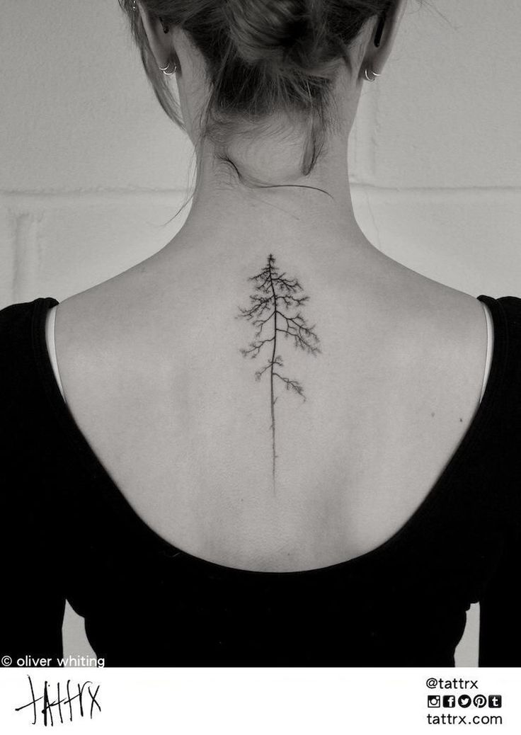 Black Ink Pine Tree Tattoo On Women Upper Back