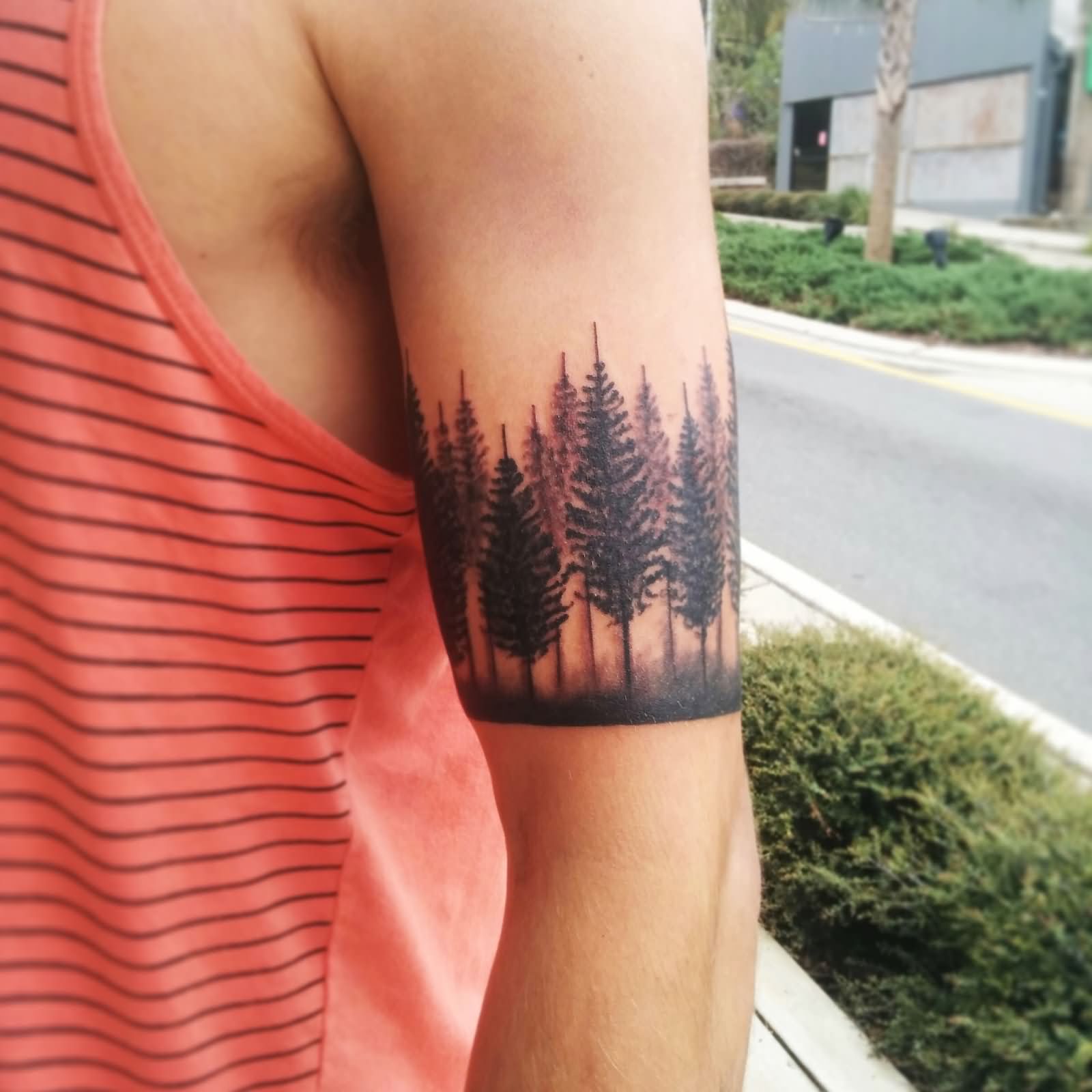 Black Ink Pine Trees Tattoo On Man Left Half Sleeve By Kate DeCosmo