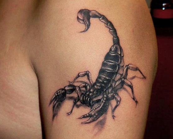 Black Ink Scorpion Tattoo On Left Shoulder