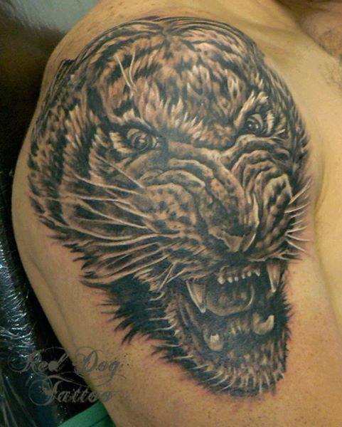 Black Ink Tiger Head Tattoo On Right Shoulder