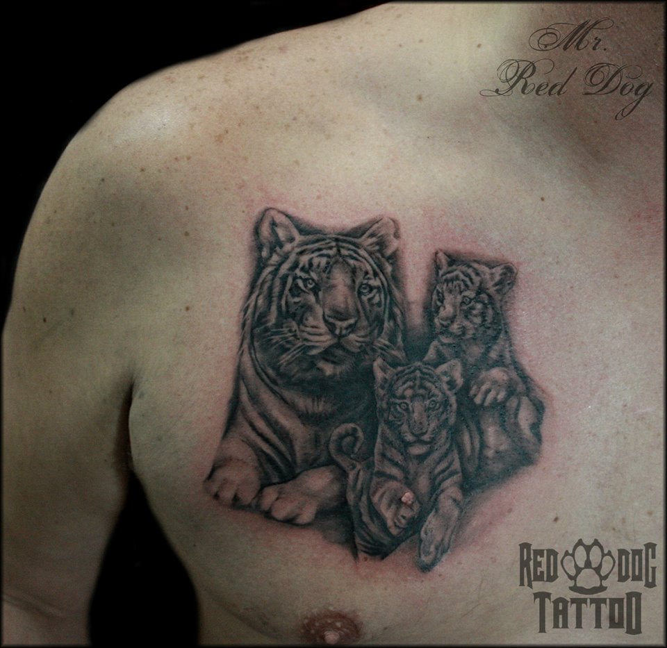 Black Ink Tiger With Cub Tattoo On Right Chest