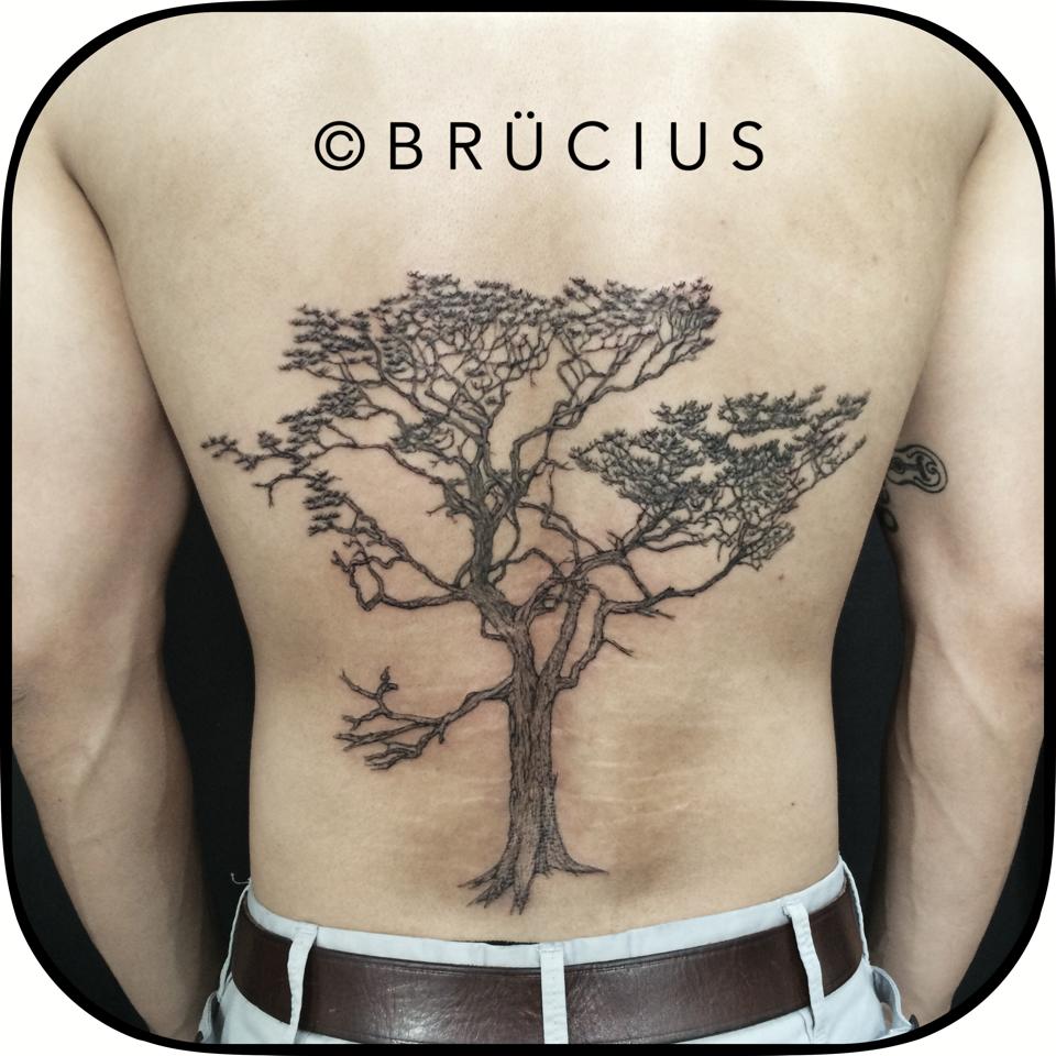 Black Ink Tree Tattoo On Man Full Back