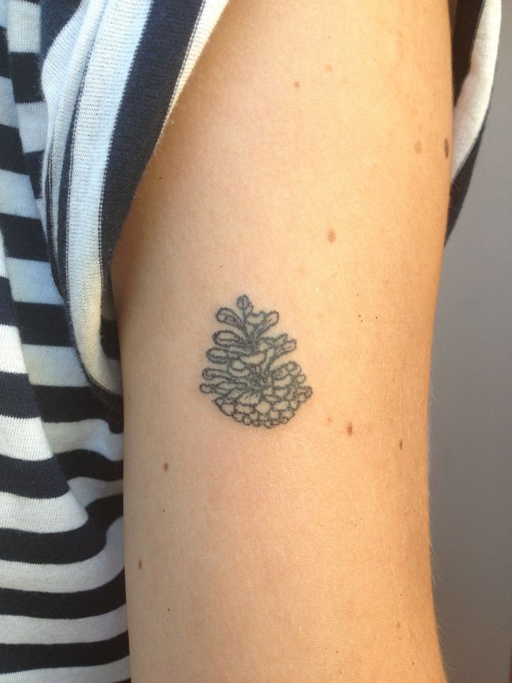 Black Outline Pine Cone Tattoo On Right Half Sleeve By MagpieFeed