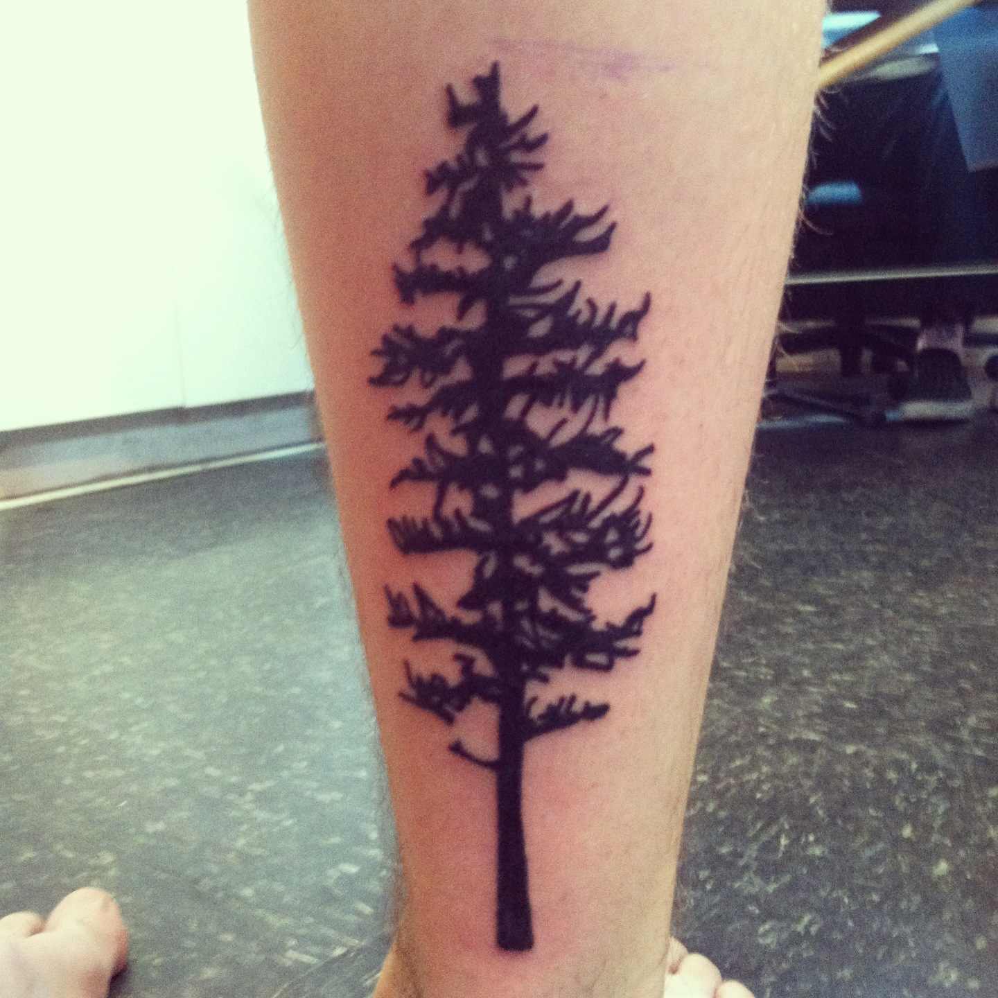 Black Pine Tree Tattoo On Right Leg Calf