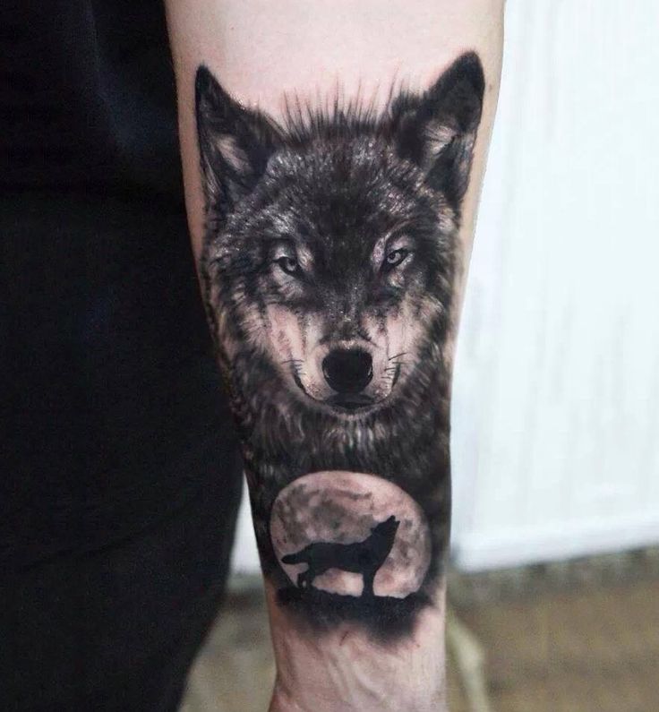 Black n Grey Wolf Tattoo On Forearm