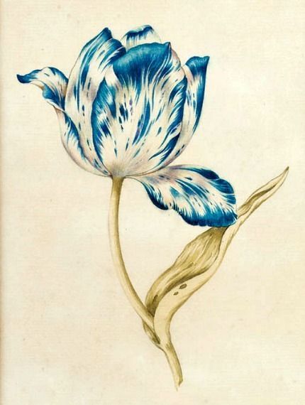 Blue And White Dutch Tulip Tattoo Design