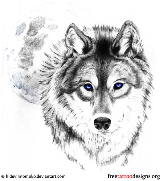 Blue Eyes Wolf Head Tattoo Design