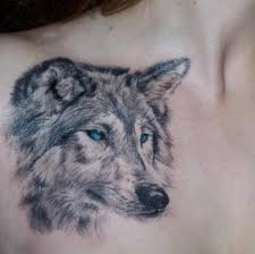 Blue Eyes Wolf Head Tattoo On Front Shoulder