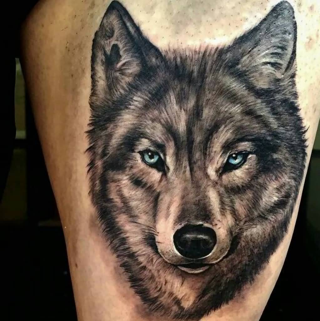 Blue Eyes Wolf Head Tattoo Picture