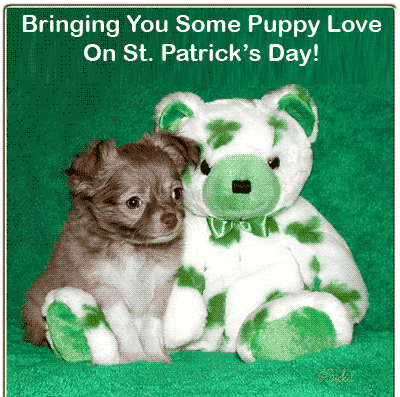 Bringing You Some Puppy Love On Saint Patrick’s Day