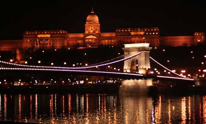 Buda Castle And Chain Bridge Night View