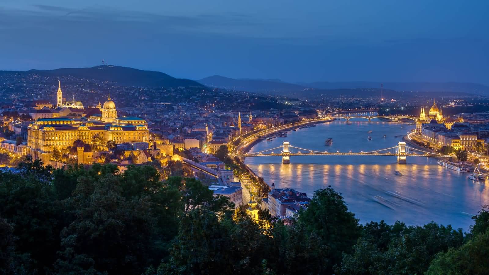 Buda Castle And Chain Bridge Panorama From Gellert Hill In The Blue Hour In Budapest