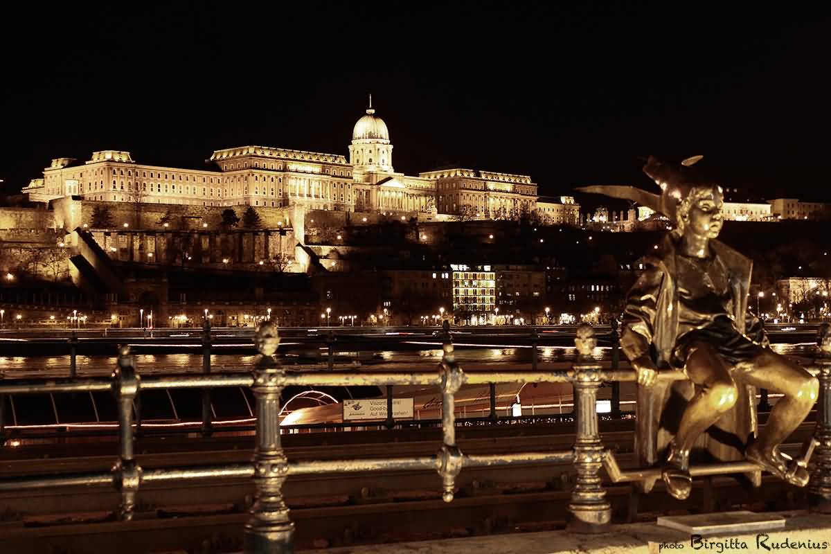 Buda Castle View At Night