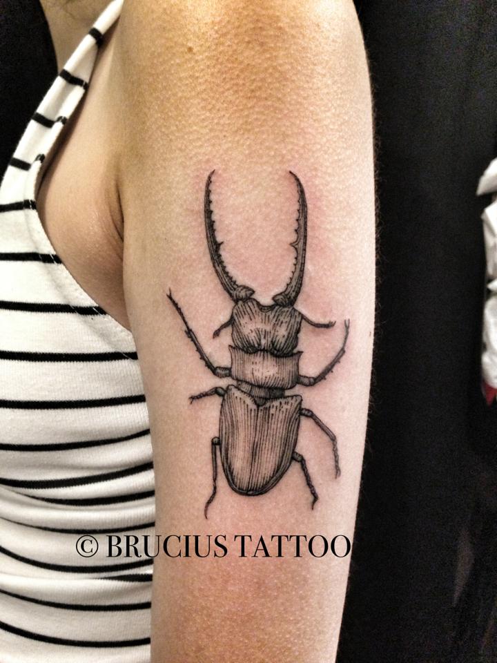 Classic Black Ink Beetle Tattoo On Left Half Sleeve By Brucius