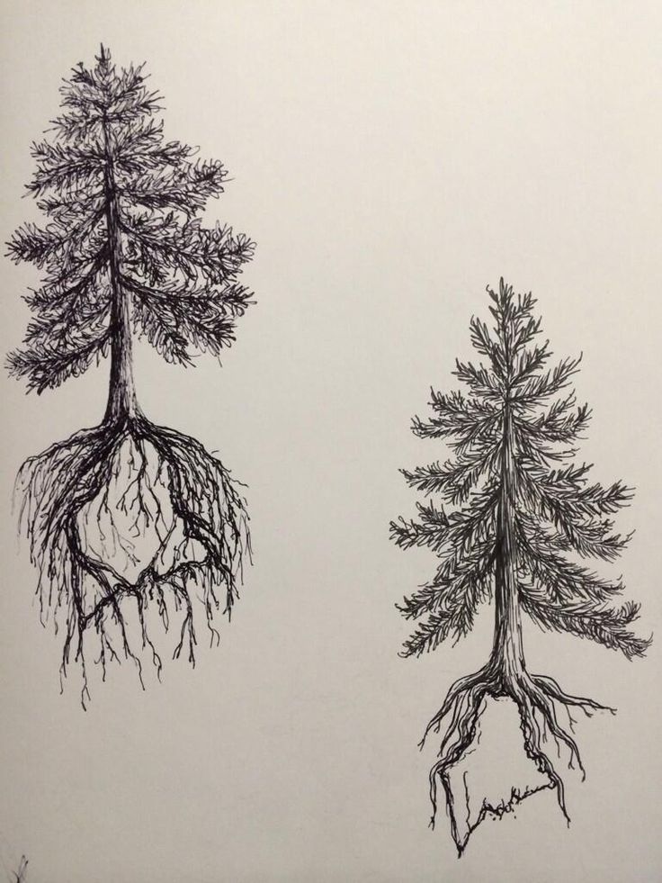 Classic Black Ink Two Pine Trees Tattoo Design