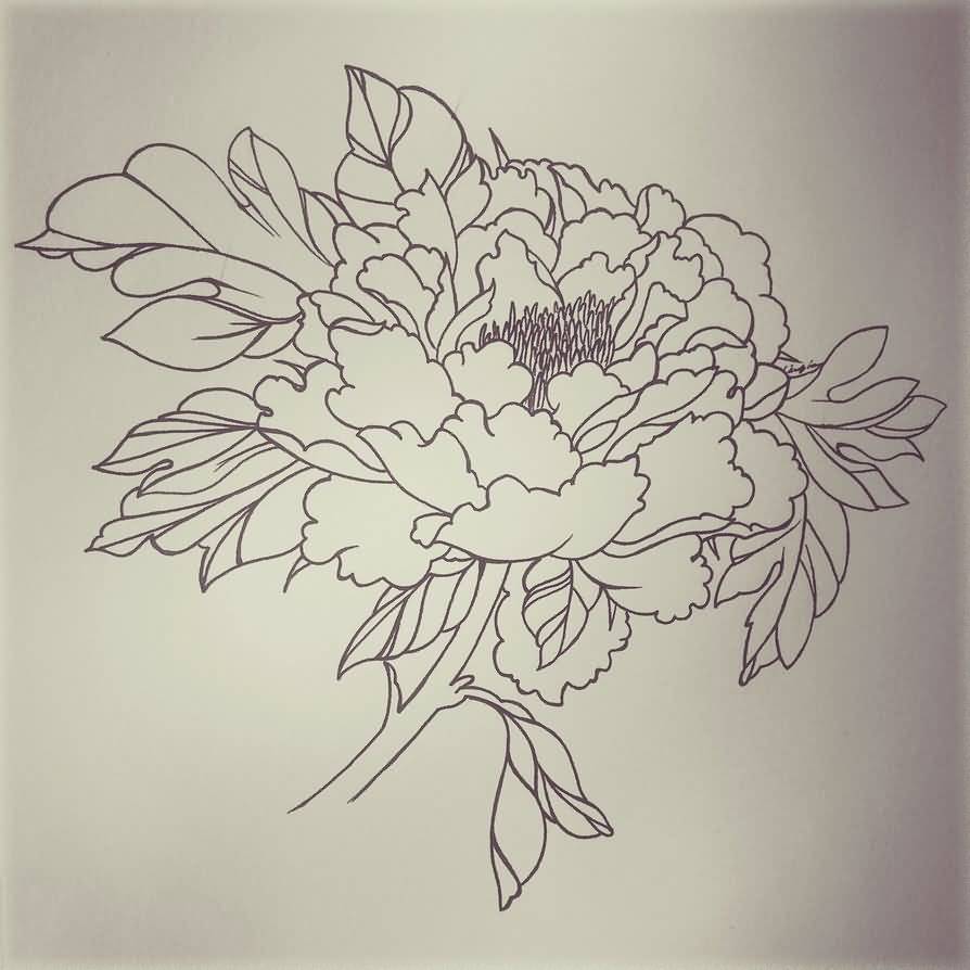 Classic Black Outline Peony Flower Tattoo Stencil