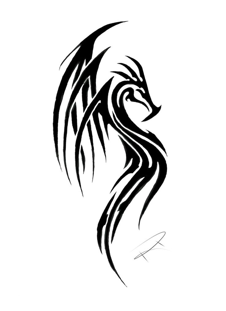 Classic Black Tribal Dragon Tattoo Stencil