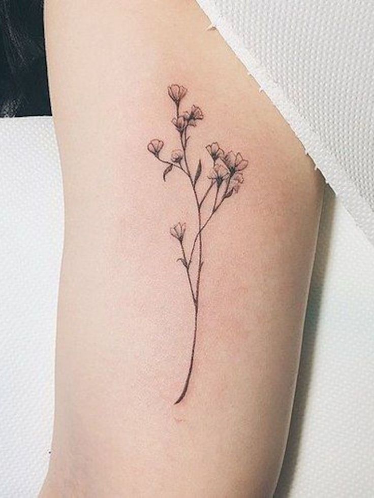 Classic Geranium Flowers Tattoo Design For Bicep