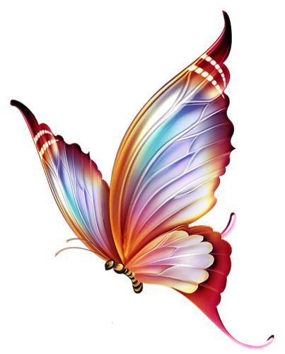 Colorful Butterfly Tattoo Design Sample