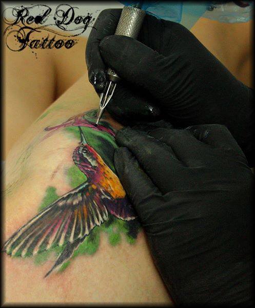 Colorful Flying Bird Tattoo Design For Sleeve