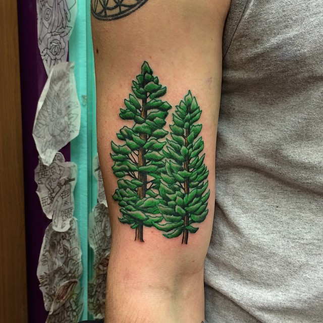 Colorful Pine Tree Tattoo On Right Bicep