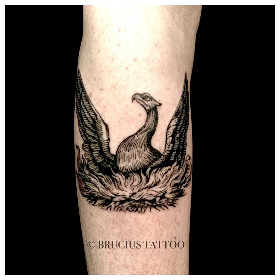 Cool Black Ink Bird Tattoo Design For Sleeve By Brucius