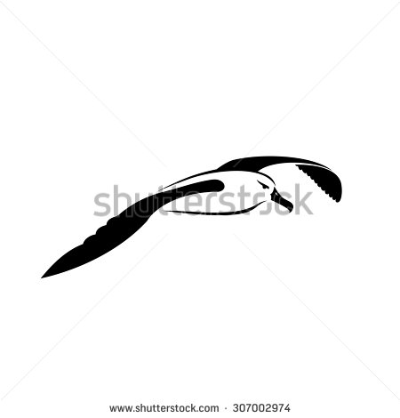 Cool Flying Albatross Tattoo Stencil