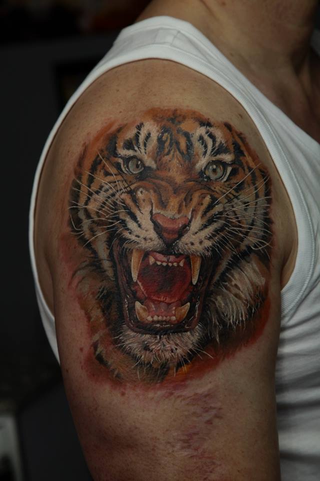 Cool Roaring Tiger Head Tattoo On Right Shoulder