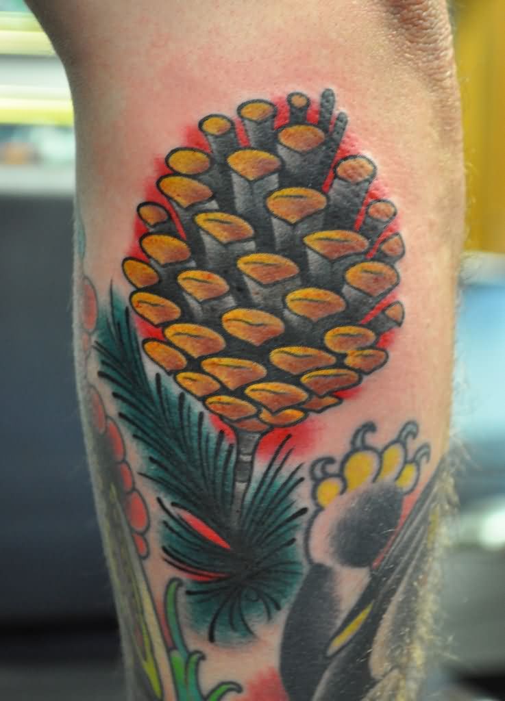 Cool Traditional Pine Cone Tattoo On Leg Calf