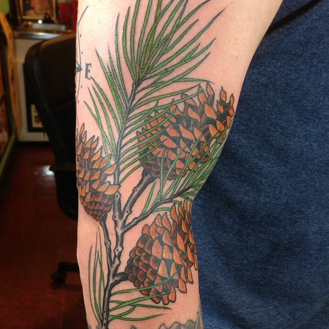 Cool Traditional Pine Corn Branch Tattoo On Right Full Sleeve