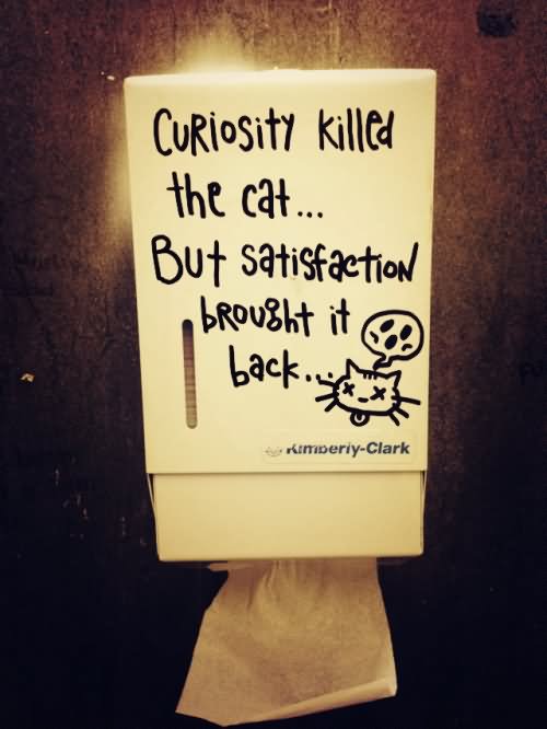 Curiosity killed the cat.. but satisfactio brought it back.