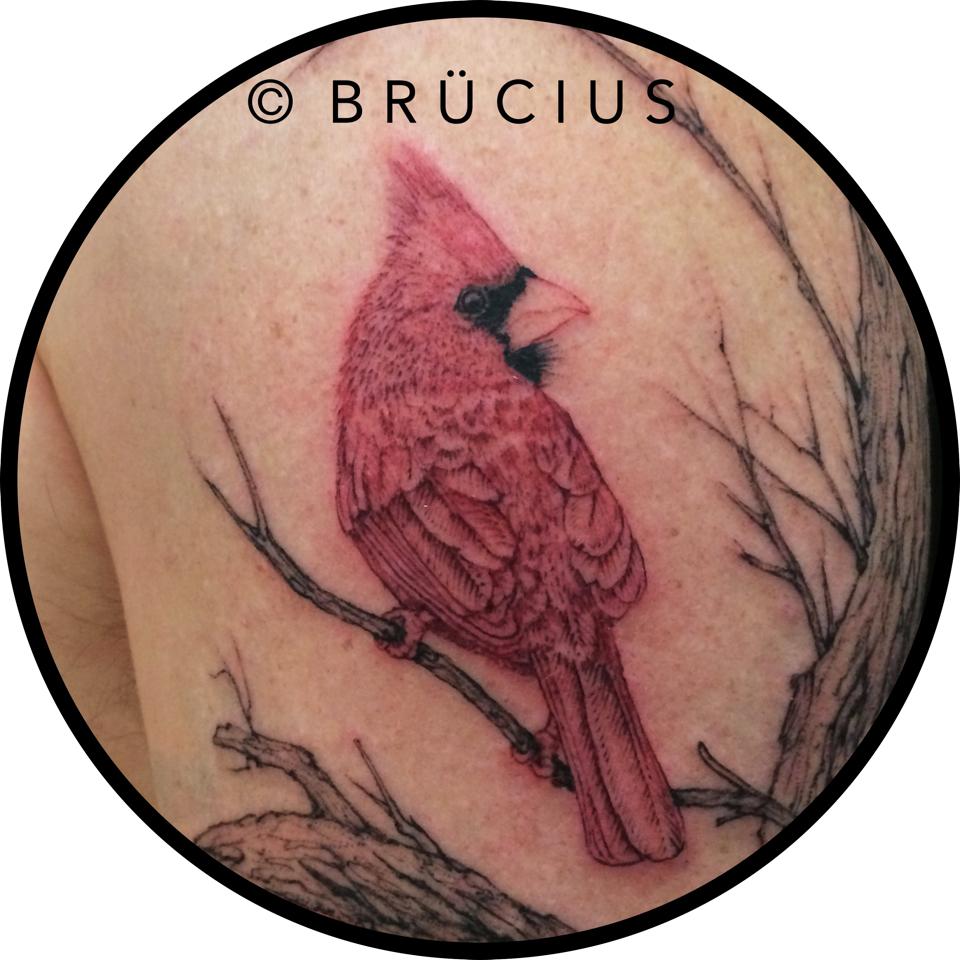 Cute Bird On Branch Tattoo On Left Half Sleeve By Brucius