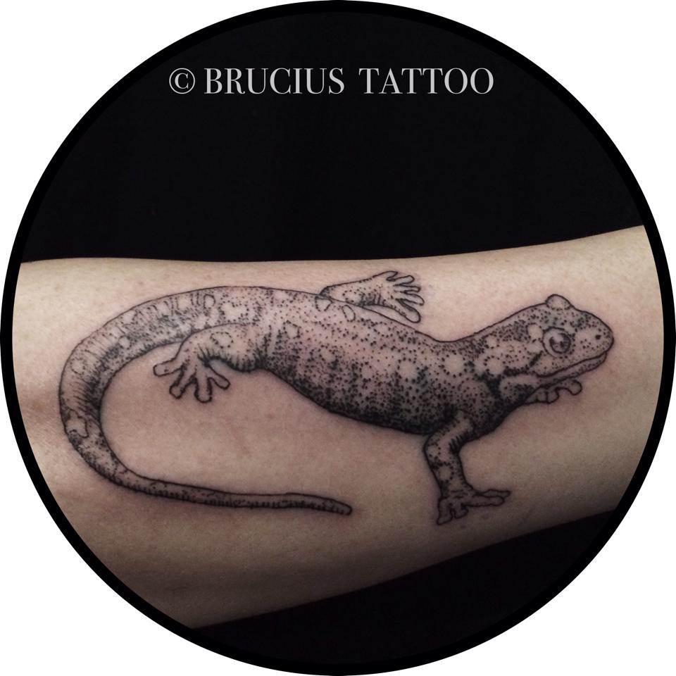 Dotwork Lizard Tattoo On Sleeve By Brucius
